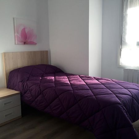 Apartamentos Jurramendi - Los Arcos Luaran gambar
