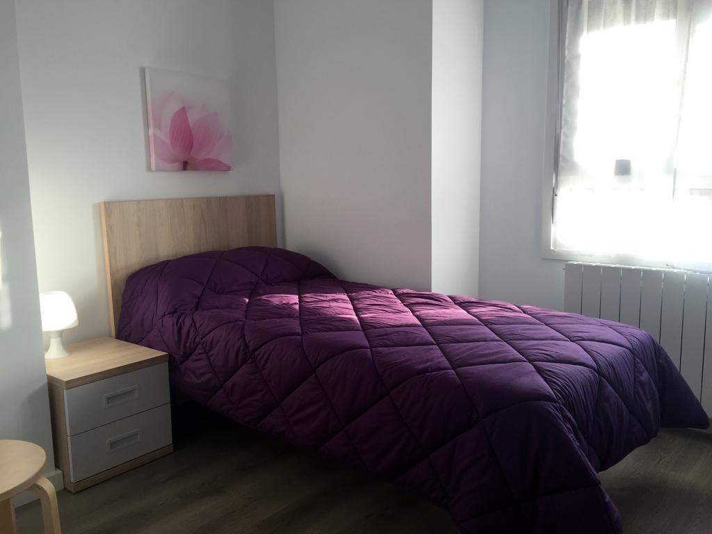 Apartamentos Jurramendi - Los Arcos Luaran gambar
